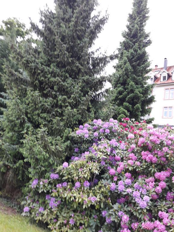 Apartment Near Villa Turgenev Baden-Baden Exterior photo